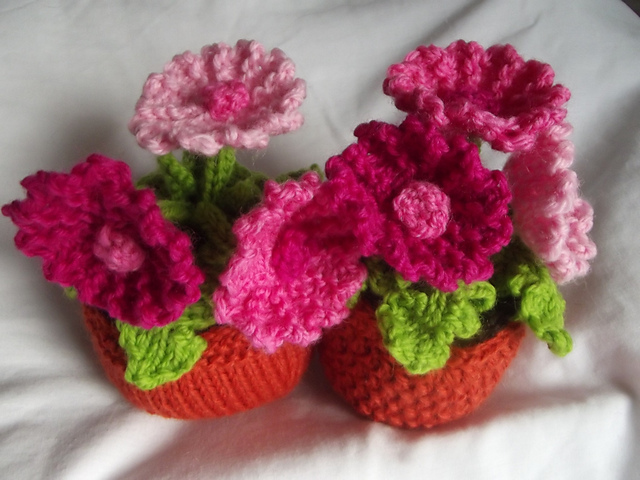 Knit a plant - gerbera
