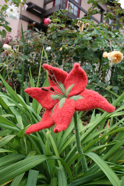 Tiger Lily
