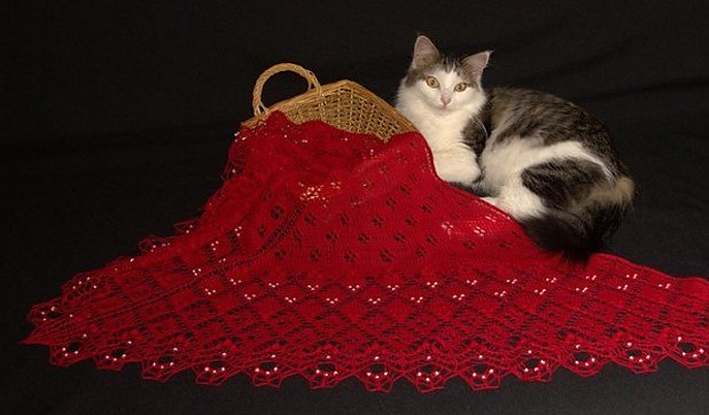 Summer berry Shawl