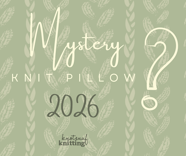 Mystery Knit Pillow 2026