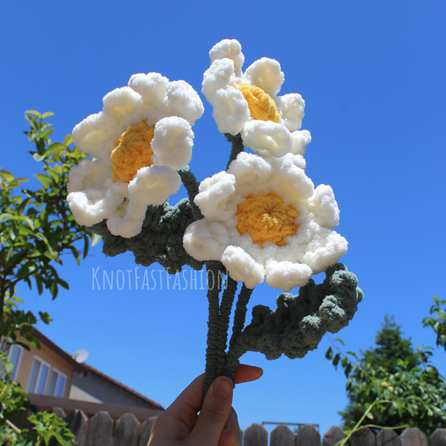 Fluffy Daisies
