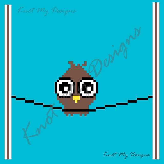 C2C Sitting Owl Blanket Graph