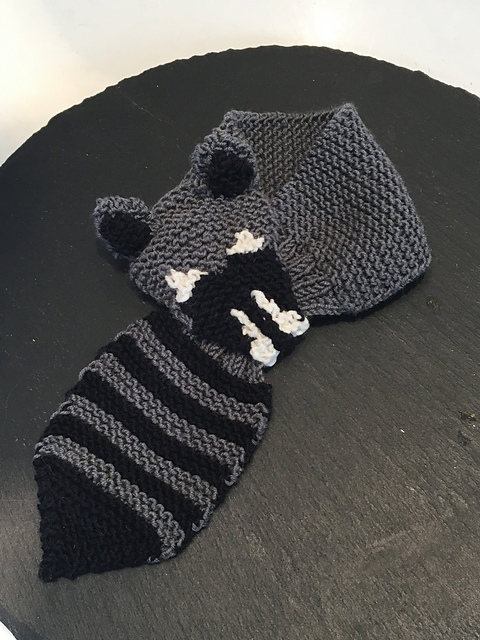 raccoon
