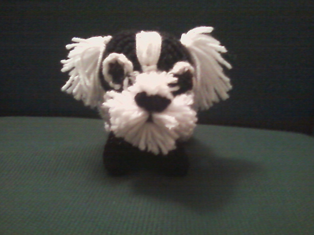 Roly Poly Shih Tzu