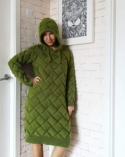 Hoodie Lizard