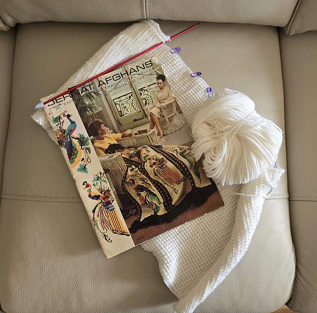 3019-132 Toltec Bird Afghan