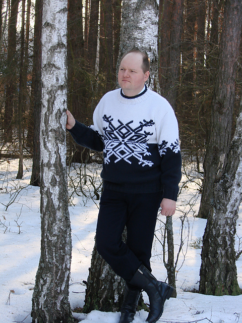 #12 Pullover with a hood, decorated with embroidery