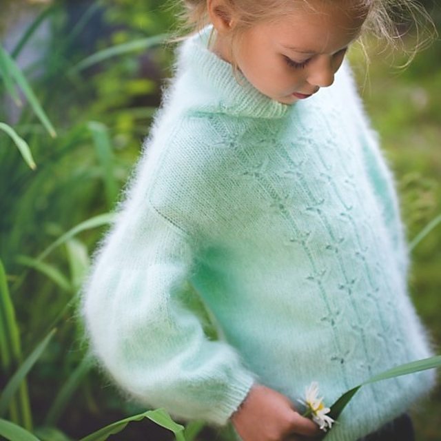 sweater Silkworm