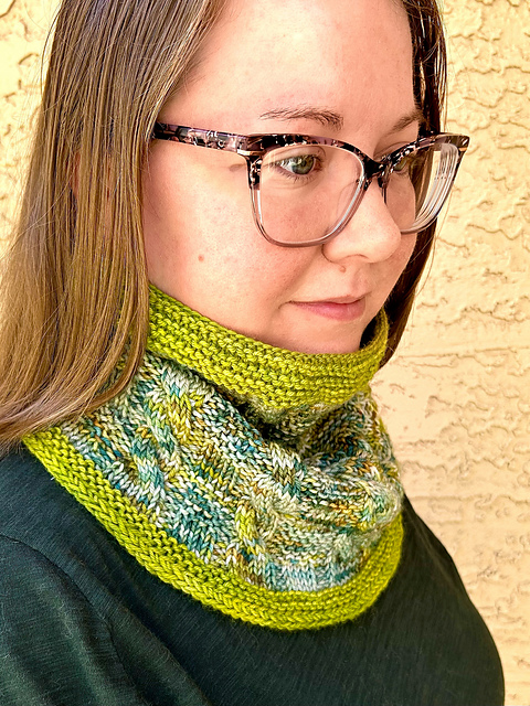 Travel Buddy Cowl