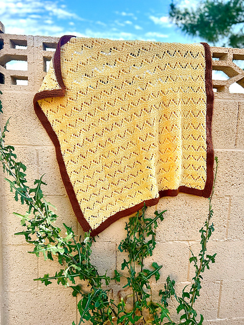 Montgomery Blanket