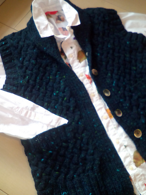 V. Aran Vest (アランベスト)