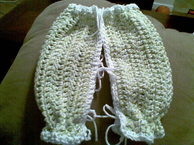 Dishcloth Panties