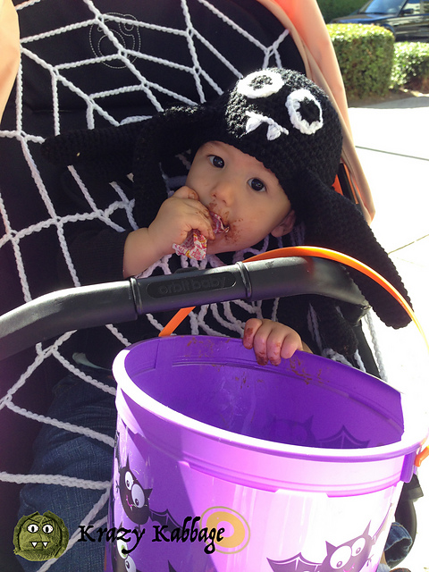 Spider Hat and Web Halloween Costume