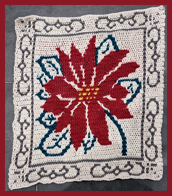 Birth flowers Poinsettia