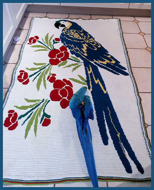 Tropical Mosaic Parrot