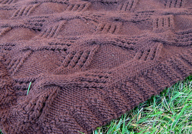 Gnarled Oak Blanket