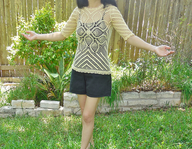 #5 & #6 Berry Pullover
