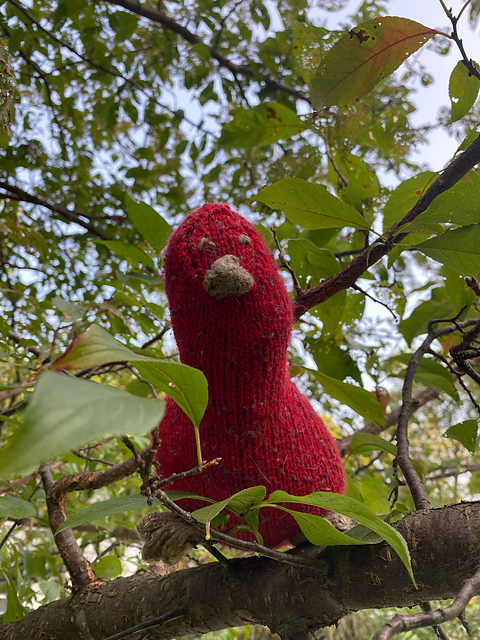 Cherry Chirp Bird
