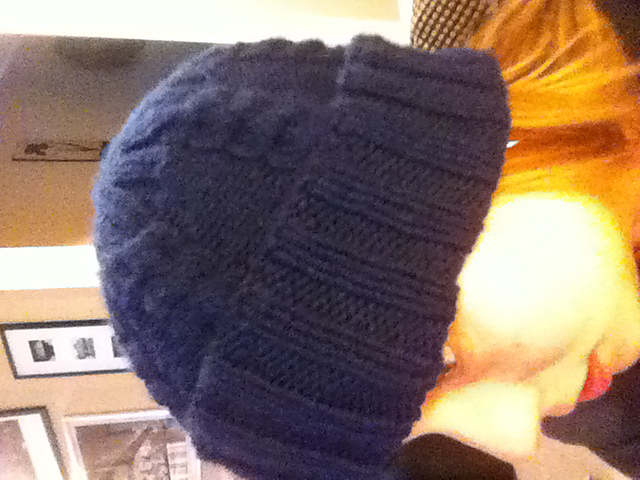 Ribs and Ropes Hat