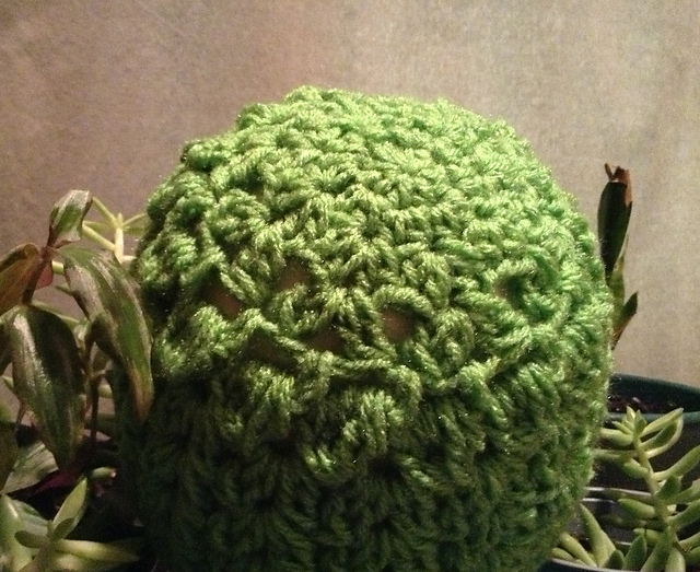 Clare Crown Beanie Top