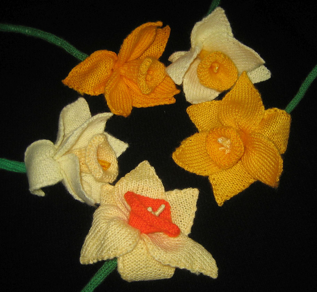 a host of daffodils