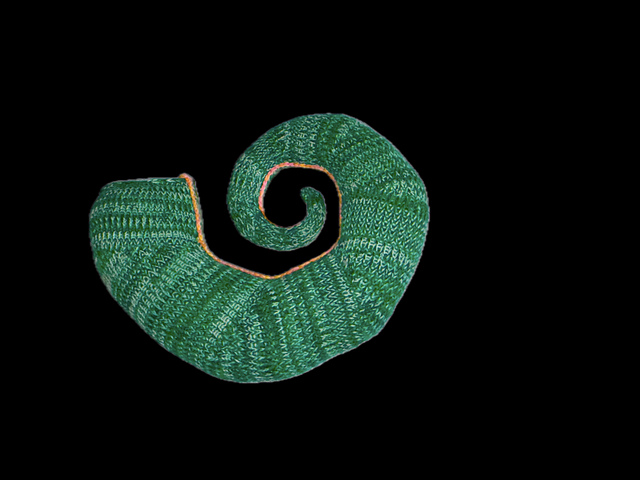 Shell Shape 2