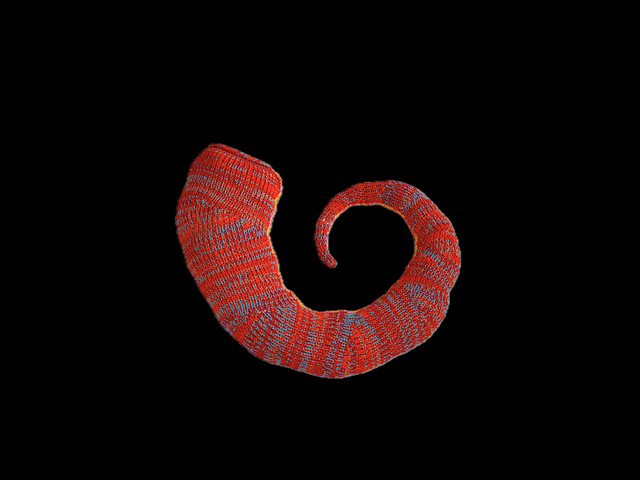 Shell Shape 3