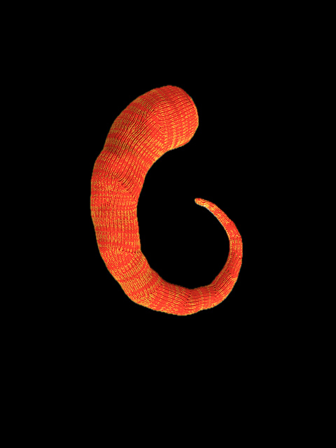 Shell Shape 5