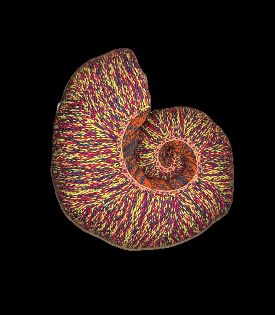 Shell Shape 16
