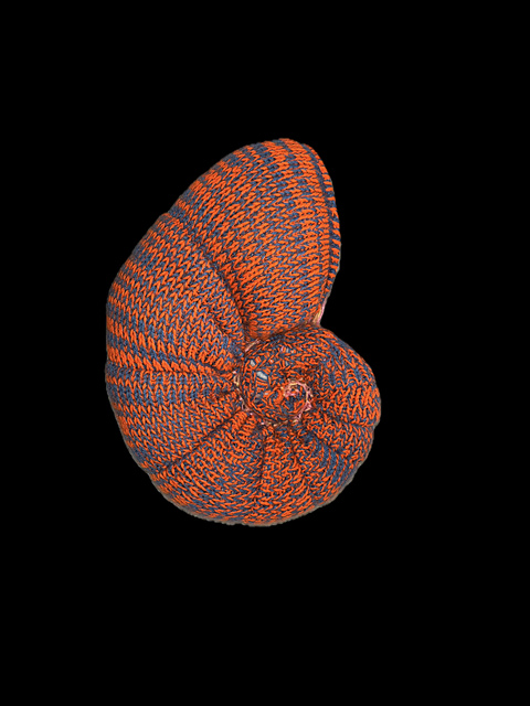 Shell Shape 17