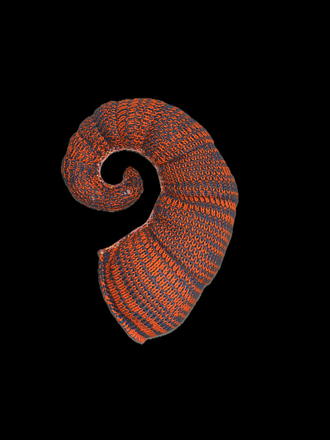 Shell Shape 18