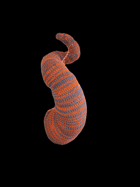 Shell Shape 22