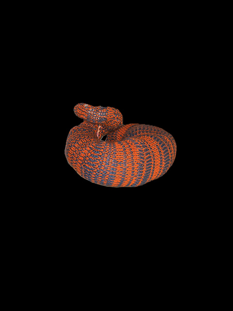 Shell Shape 23