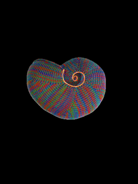 Shell Shape 15