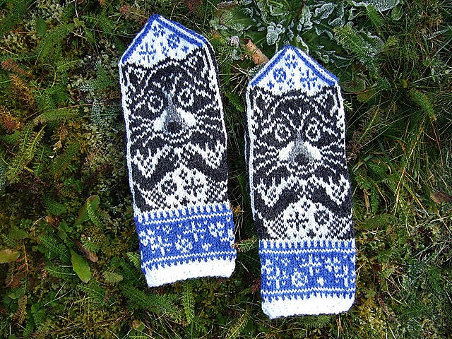 Raccoon Mittens