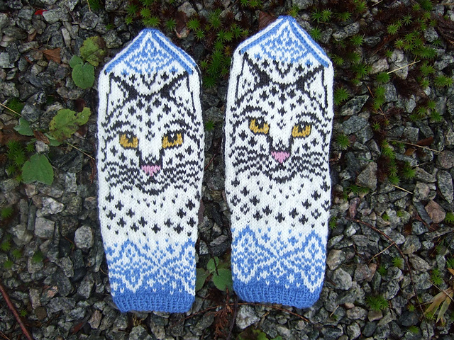 Winter Cat