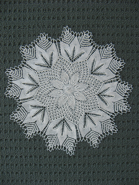Ninetta - Sternblüte