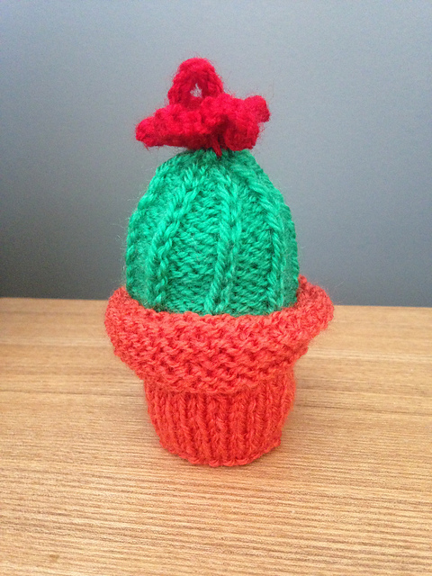 Cactus in pot