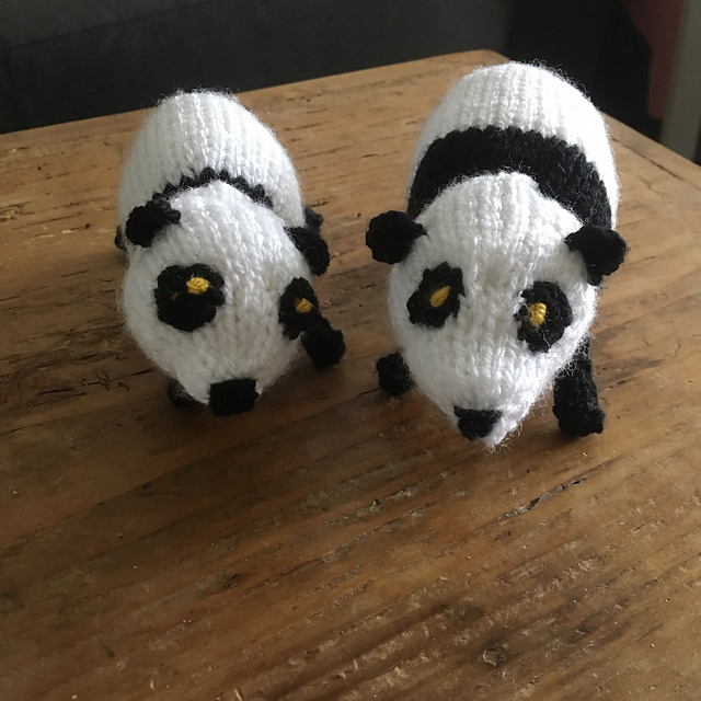 Panda