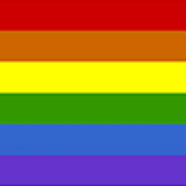 Rainbow Ally