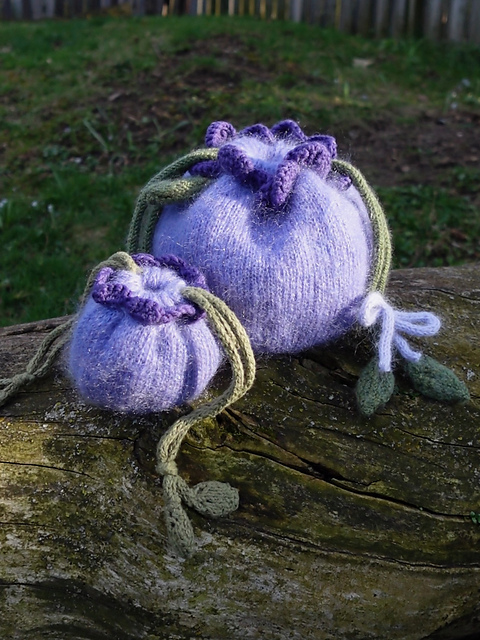 Baby Blueberry Bag