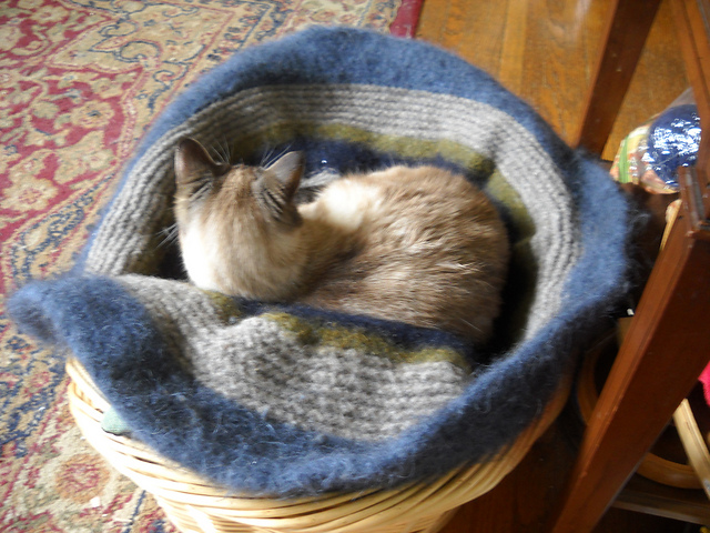 Colourscape Cat Snug
