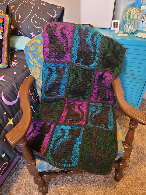 Black Cat Blanket