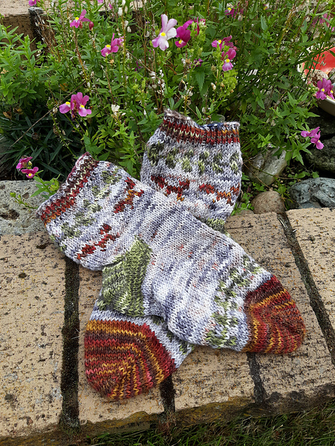 Fox in the Mist Socks