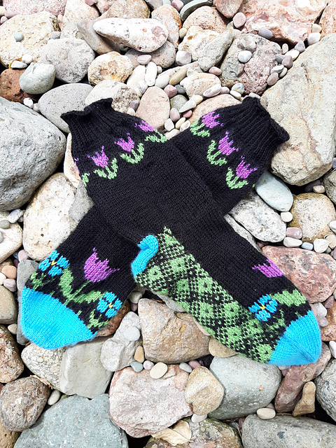 Tulips in the Field Socks