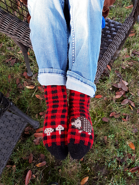 Hedgehog's Holiday Socks