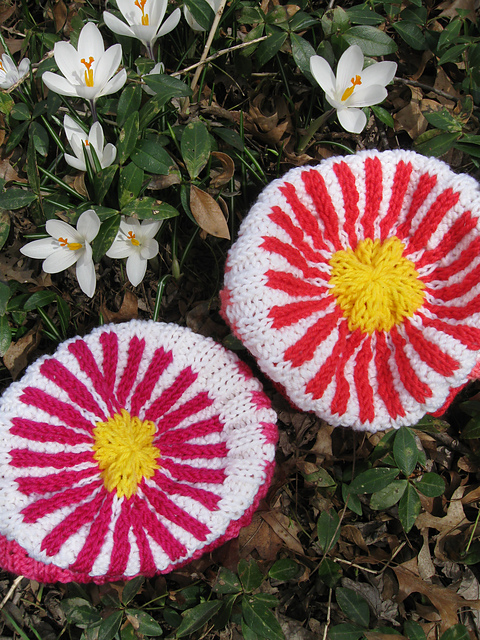 Cherry Bloom Beanie