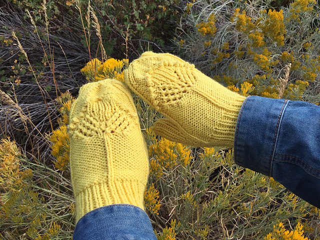 Rabbitbrush