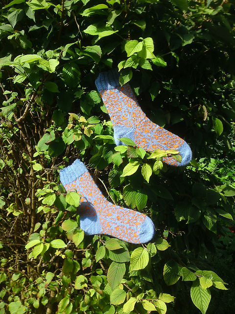 Nemo Socks