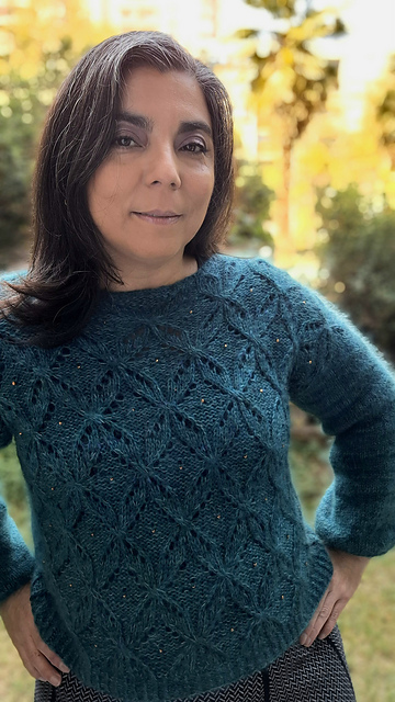 The Little Butterflies Sweater